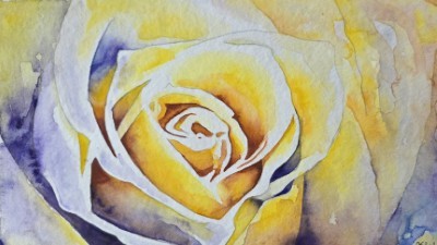 Aquarellbild einer Rose in expressiven Lila- und Gelbtönen